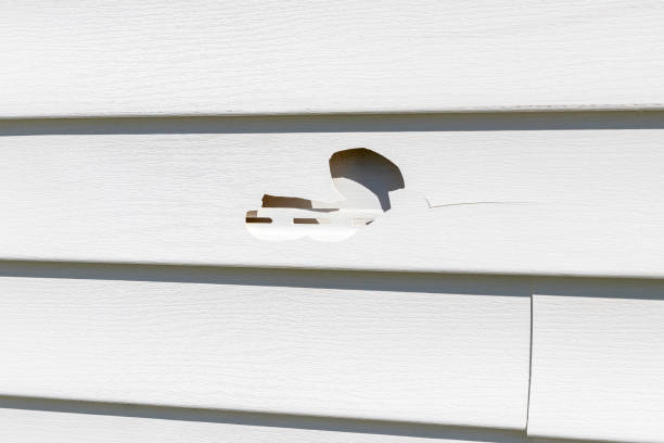 Best Fascia and Soffit Installation  in Wanamassa, NJ
