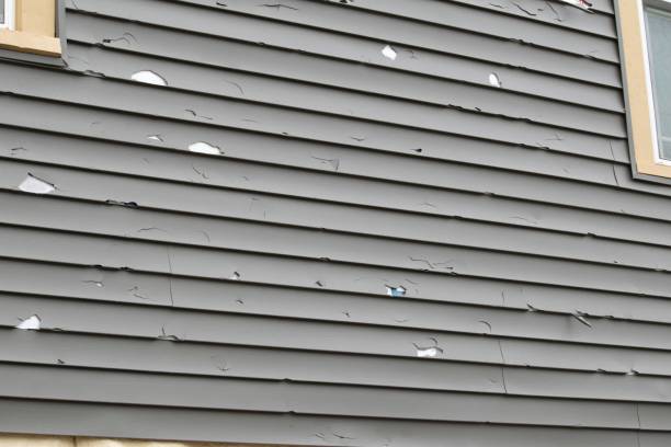 Best Siding for New Construction  in Wanamassa, NJ