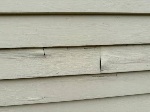 Best Insulated Siding Installation  in Wanamassa, NJ