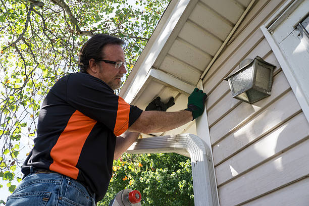 Professional Siding Installation & Repair in Wanamassa, NJ